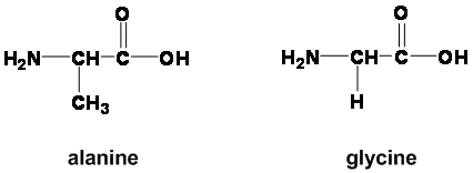 <p>How are glycine and alanine different amino acids?</p>