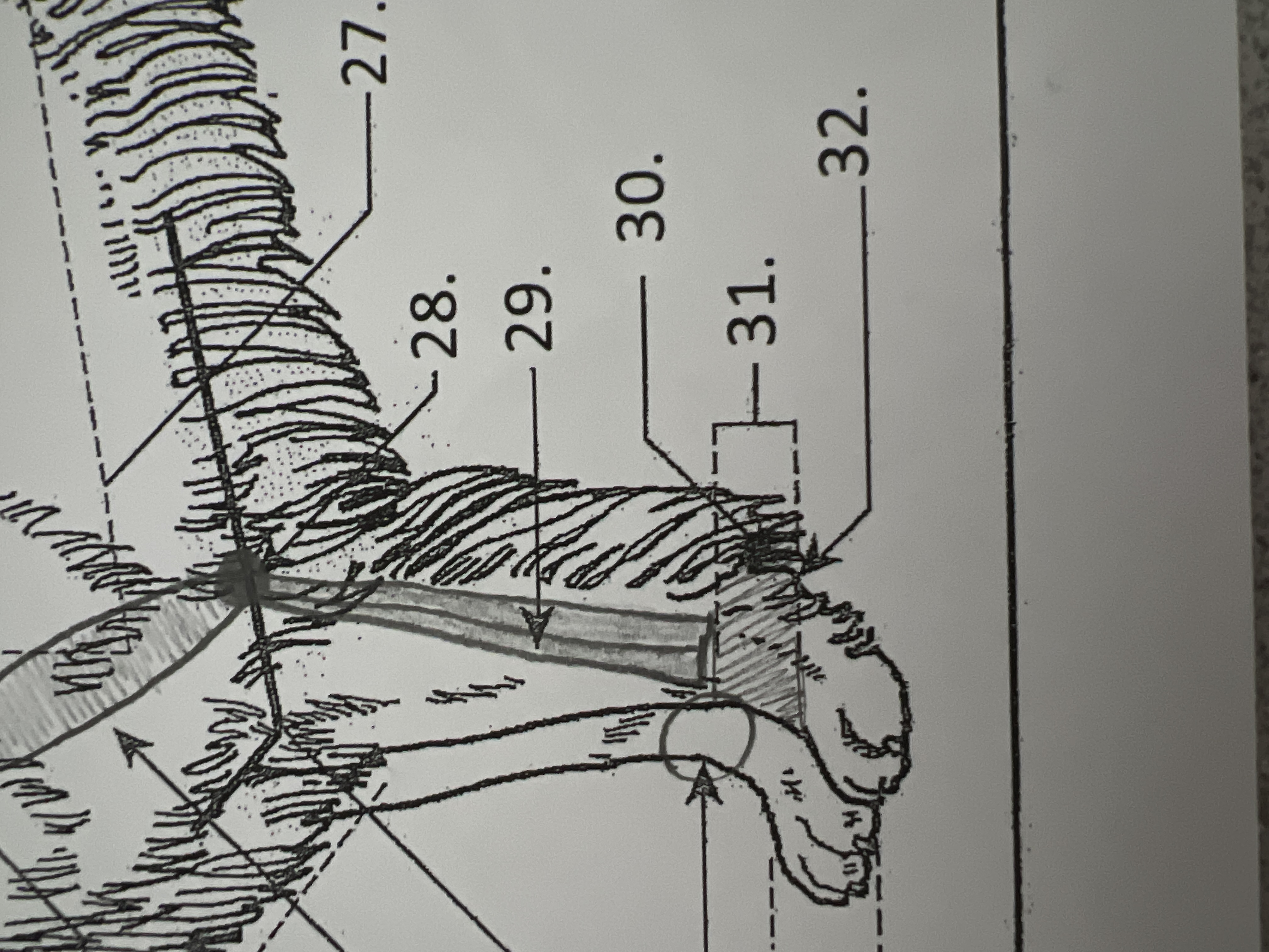 
30. \
