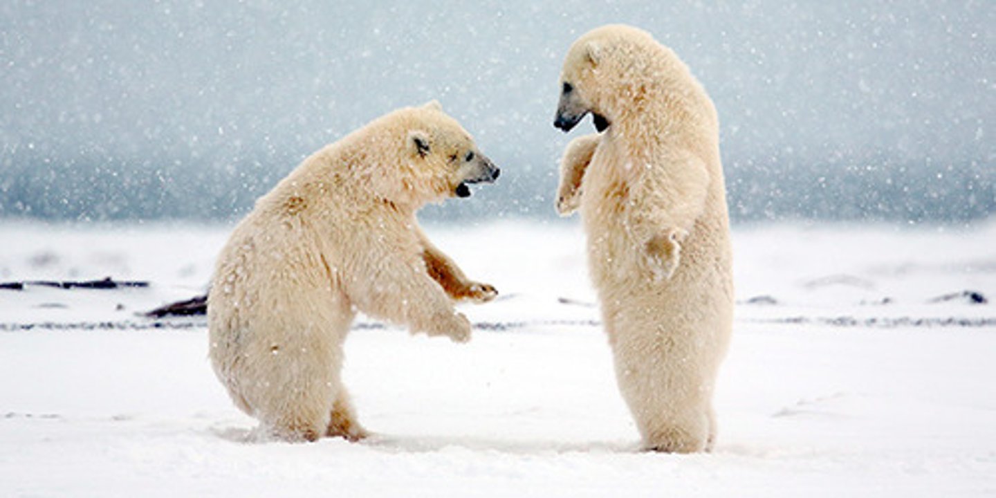 <p>One of several major environmental regulations of the 1970s, this law aimed to prevent the extinction of imperiled animal species and, among other things, prohibited federal funds on any project that might extinguish an animal species.</p>