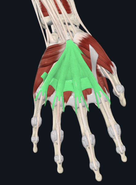 <p>What is this</p>