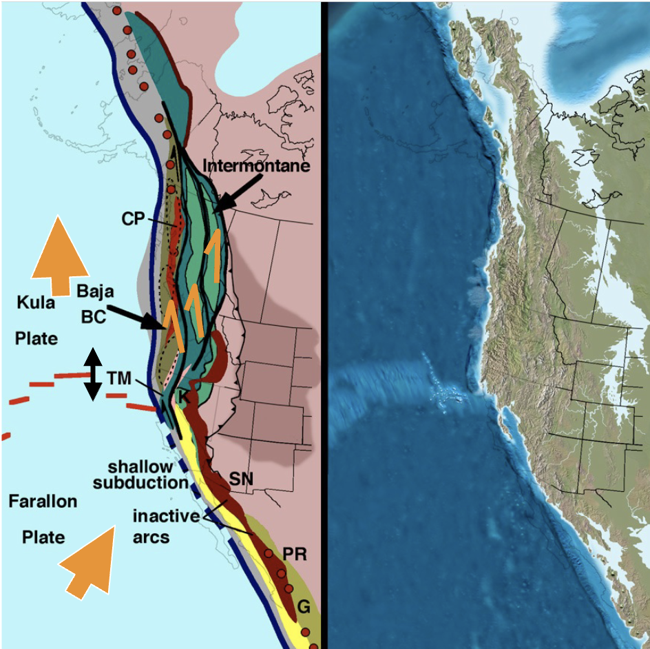 <p>65 Ma (K—T Boundary)</p>