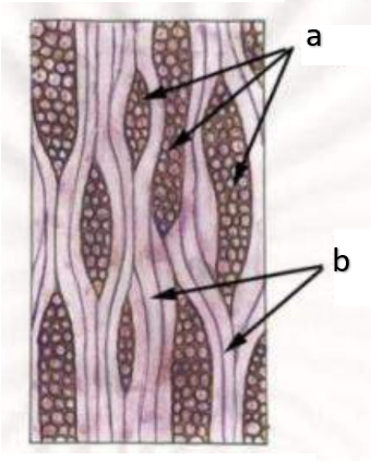 <p>b</p>