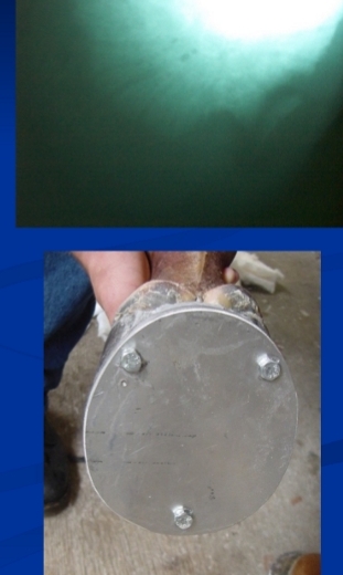 <p><span style="background-color: transparent;"><strong><span>Pedal Osteitis - traumatic + septic</span></strong></span></p>