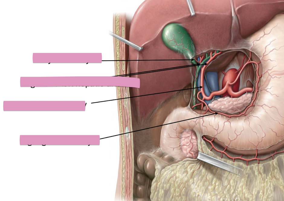 <p>Fill in the blank </p>