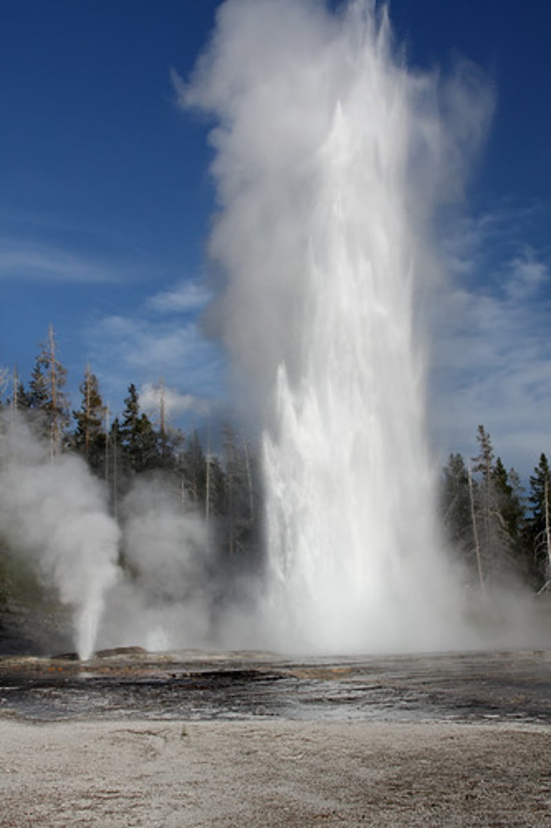 <p>intermittent hot springs or fountains in which columns of water are ejected with great force at various intervals; usually associated with active volcano; can reach 100-200 ft</p>