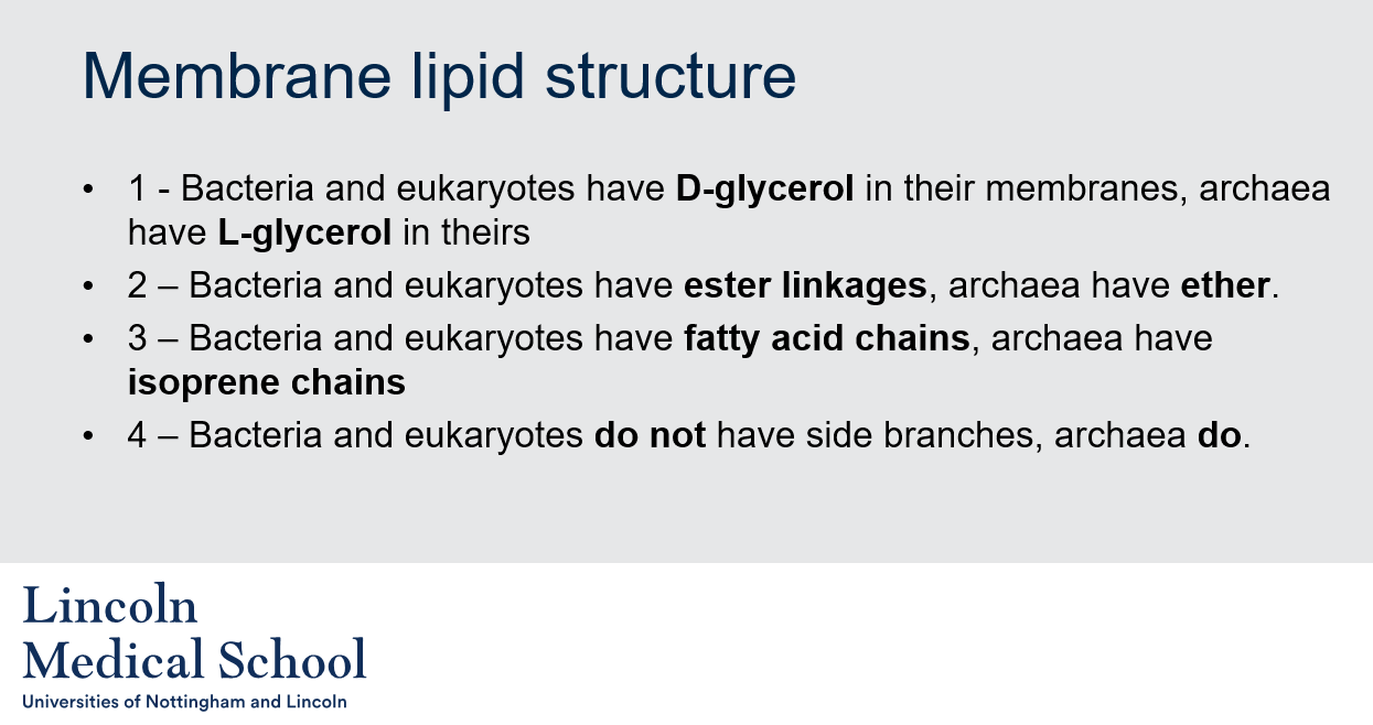 <p>The four fundamental differences between the archaeal membrane and those of other cells are:</p><ol><li><p>Bacteria and eukaryotes have D-glycerol in their membranes, archaea have L-glycerol in theirs</p></li><li><p>Bacteria and eukaryotes have ester linkages, archaea have ether linkages.</p></li><li><p>Bacteria and eukaryotes have fatty acid chains, archaea have isoprene chains.</p></li><li><p>Bacteria and eukaryotes do not have side branches, while archaea do.</p></li></ol>