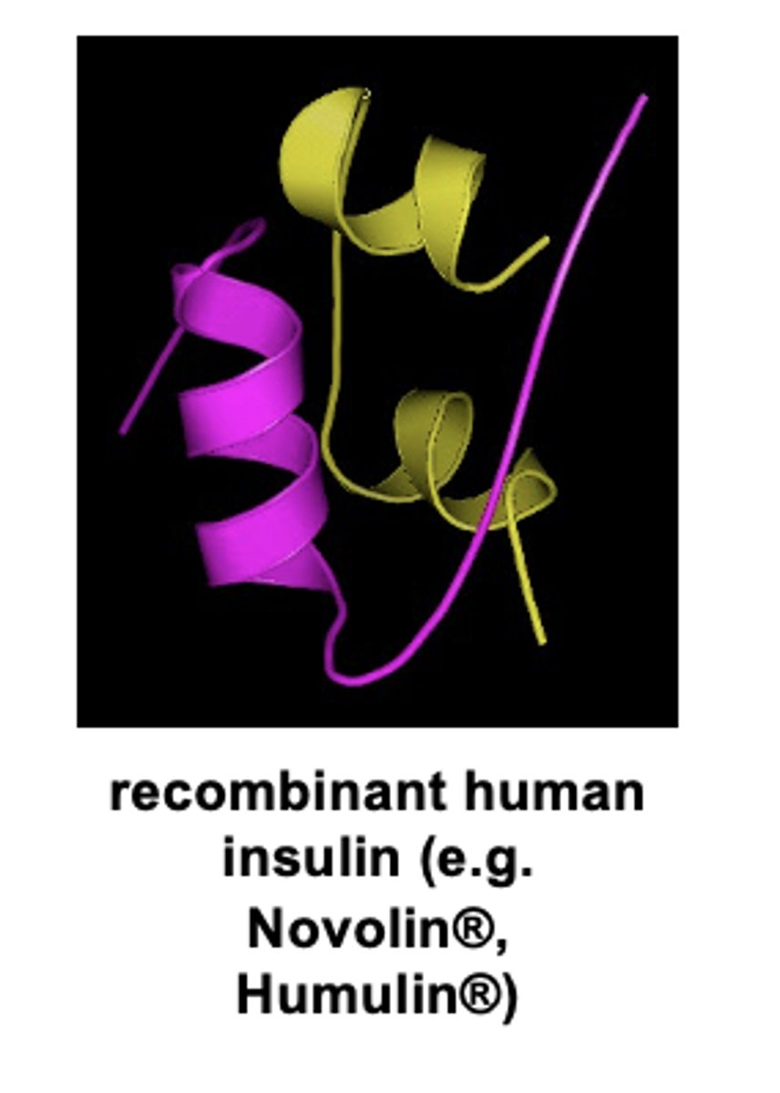 <p><strong>- recombinant human insulin </strong>(e.g. Novolin®, Humulin®)</p><p>- <strong>soma<span style="text-decoration:underline">tropin</span> / <span style="text-decoration:underline">r</span>ecombinant <span style="text-decoration:underline">h</span>uman <span style="text-decoration:underline">g</span>rowth <span style="text-decoration:underline">h</span>ormone </strong>(rhGH, Serostim®)</p>