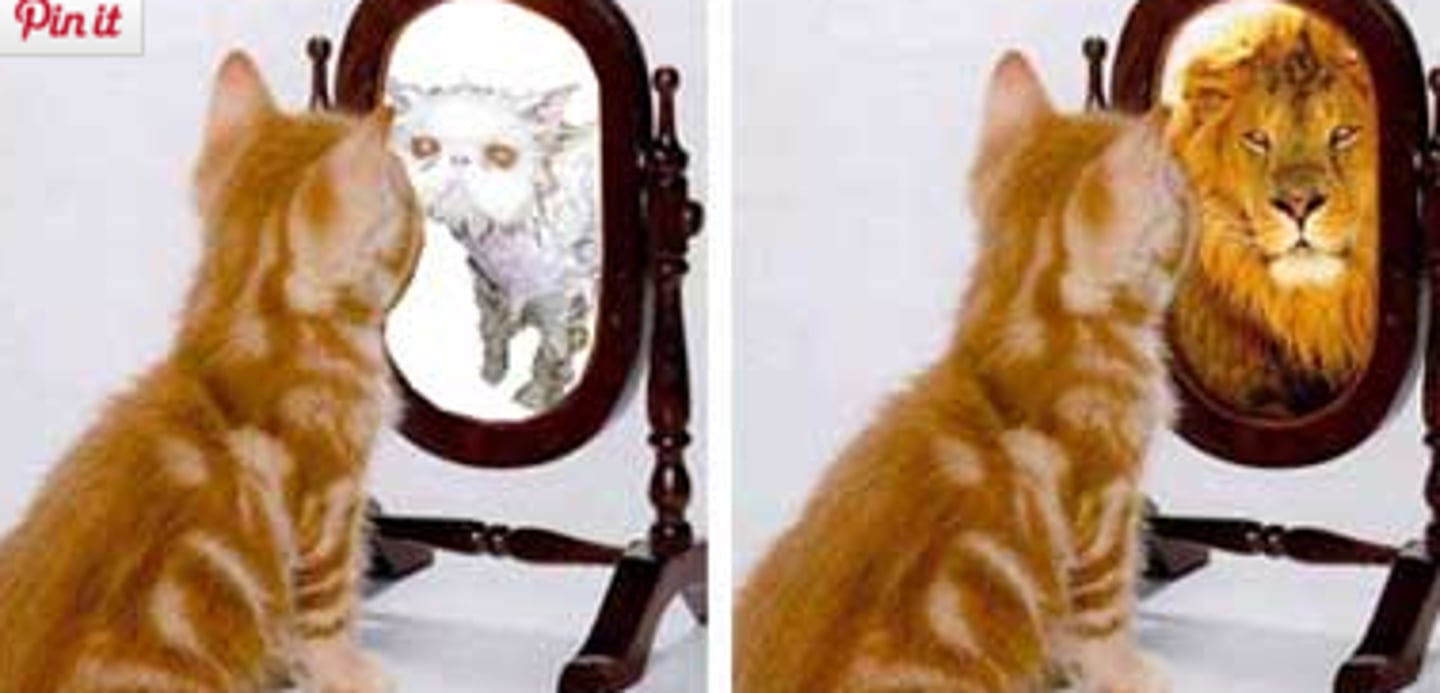 <p>the overall view we have of ourselves, which includes both our self-concept and self-esteem</p>