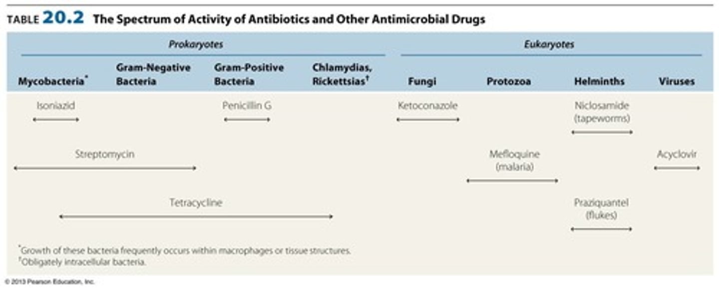 <p>Range of organisms affected by an antimicrobial.</p>