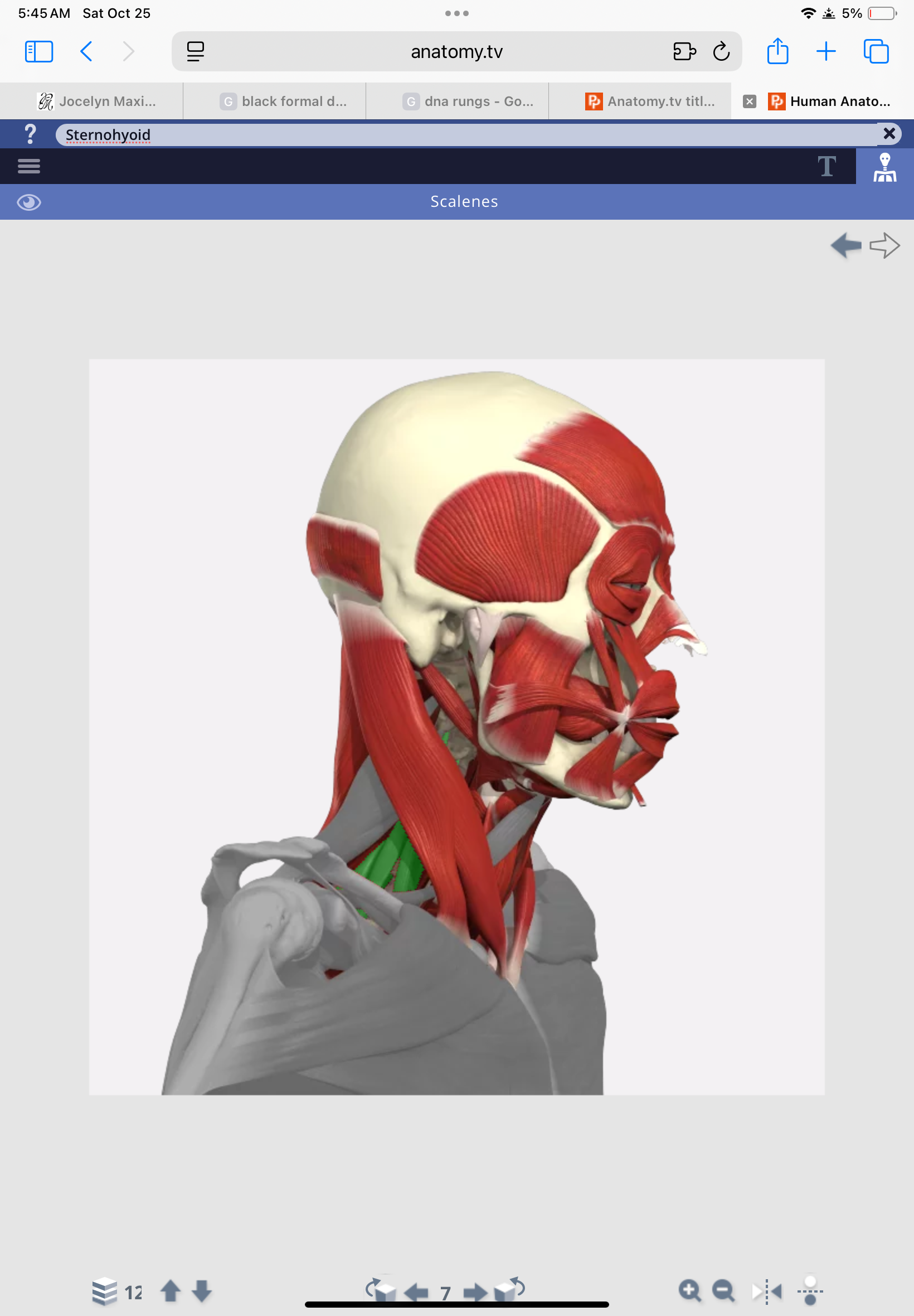 knowt flashcard image