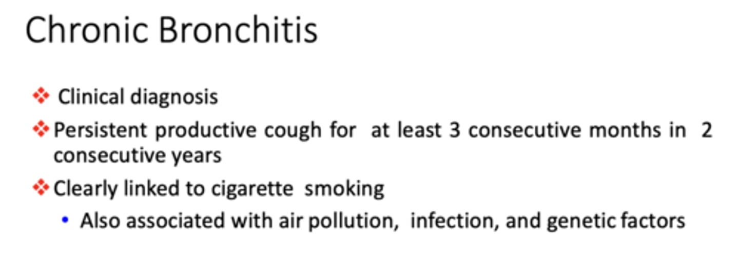 <p>Chronic Bronchitis</p>