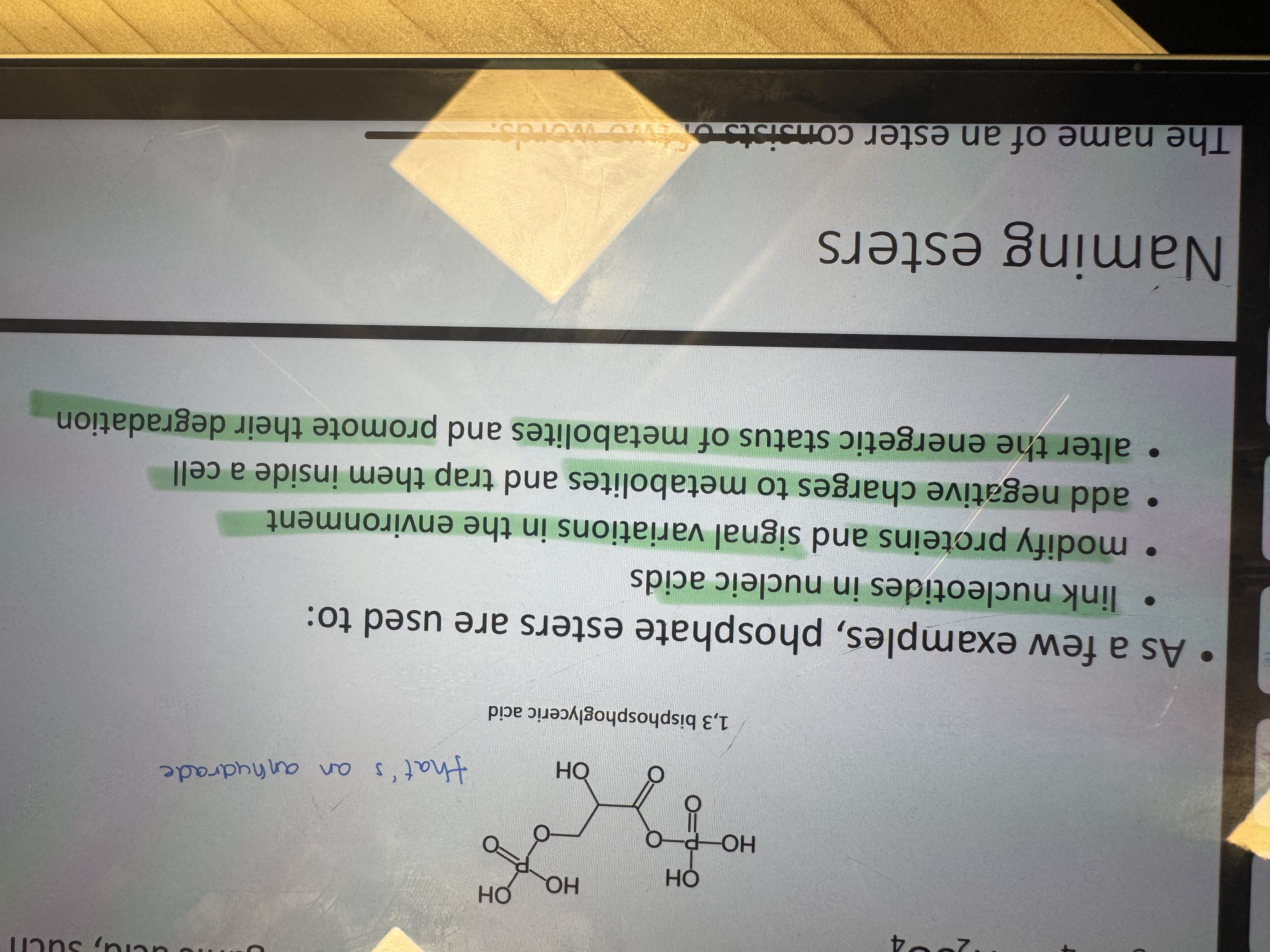 knowt flashcard image