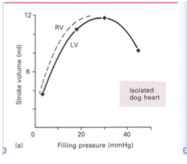 <p>describe Ernest Starling’s experiment on ejecting mammalian hearts. what did it demonstrate?</p>