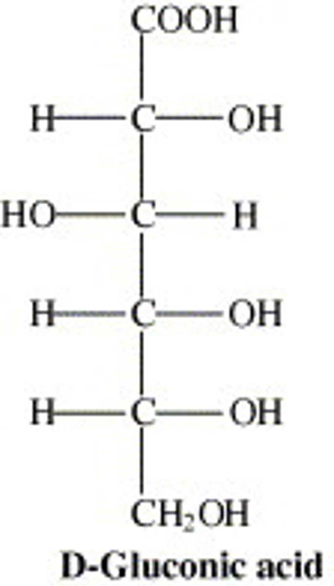 <p>oxidized aldoses into carboxylic acids</p>