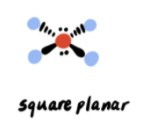 <p>Square planar</p>