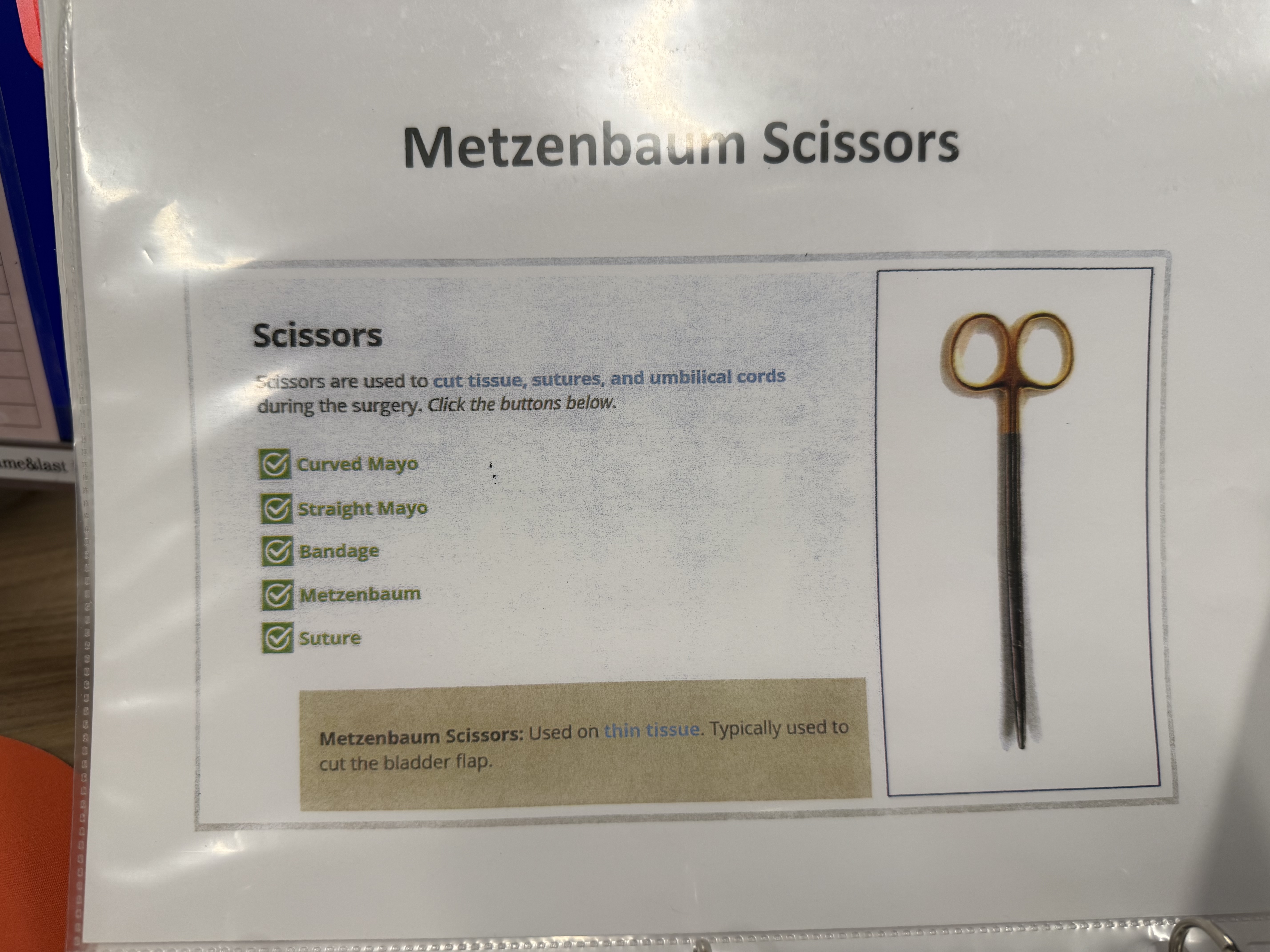 <p>Metzenbaum (Metz) Scissors </p>