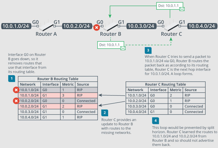 <ul><li><p>Incorrect path information causes packet to circulate until TTL is exhausted</p></li><li><p>Use traceroute to diagnose</p></li></ul>