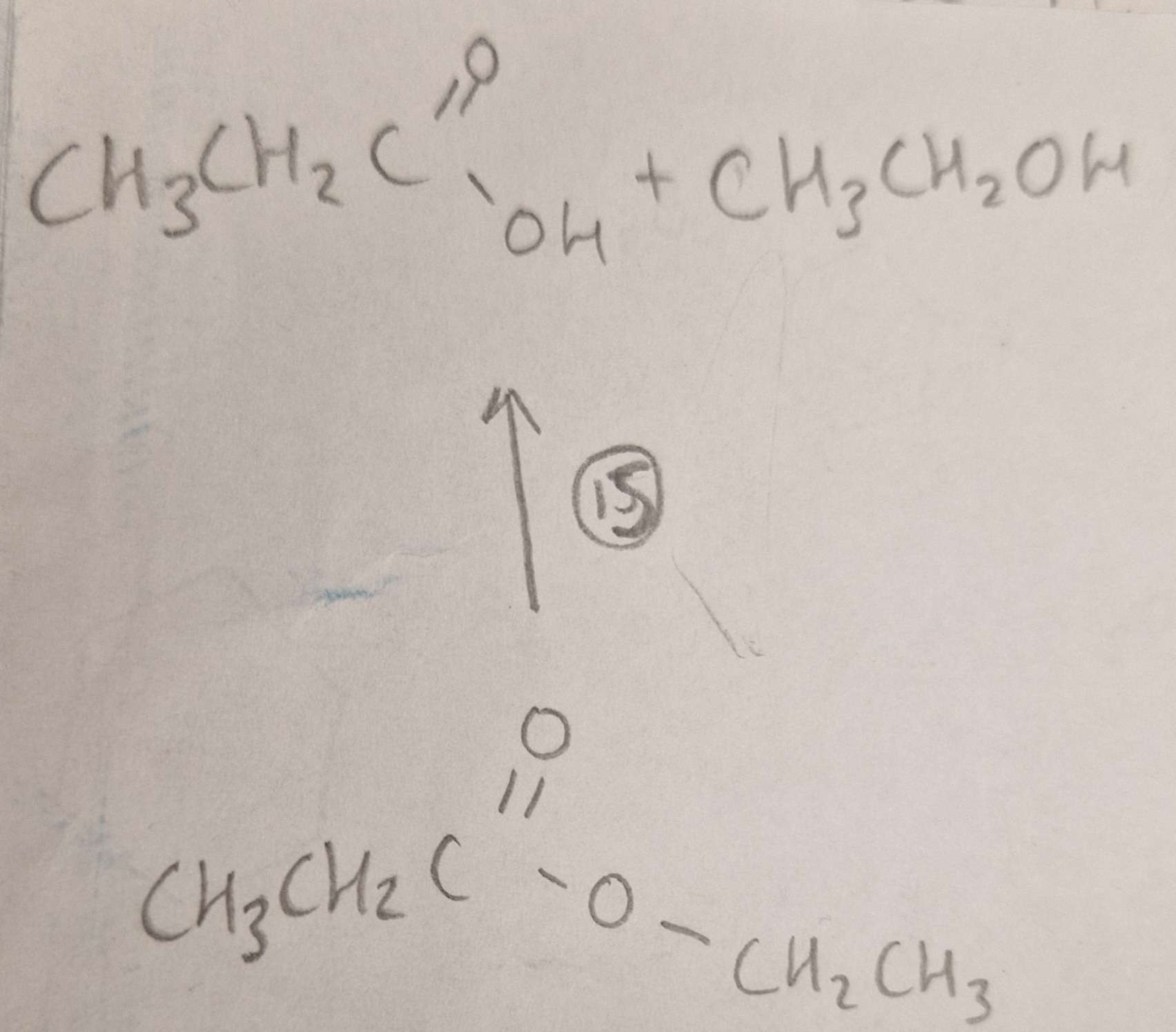 <p>Ester to Carboxylic Acid and Alcohol Mechanism:</p>