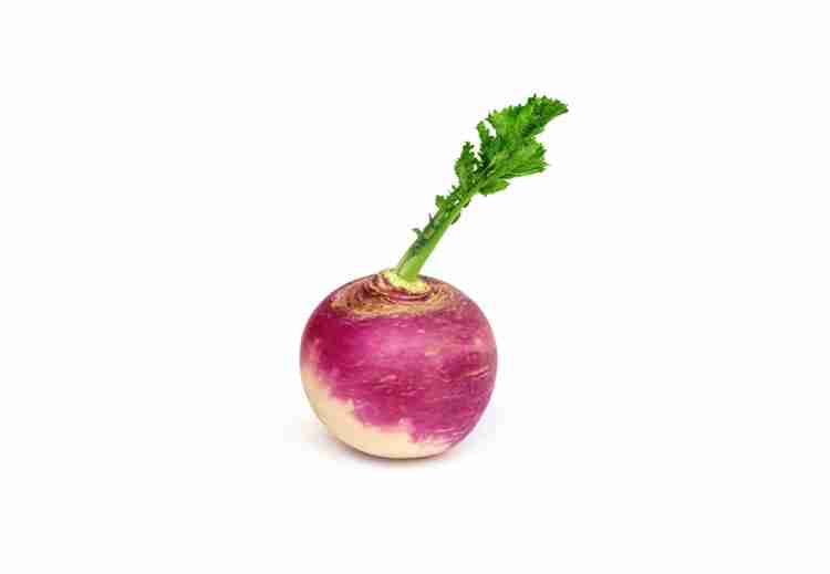 <p>the turnip / ріпа</p>