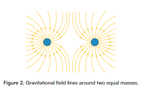<p>gravitational field lines</p>