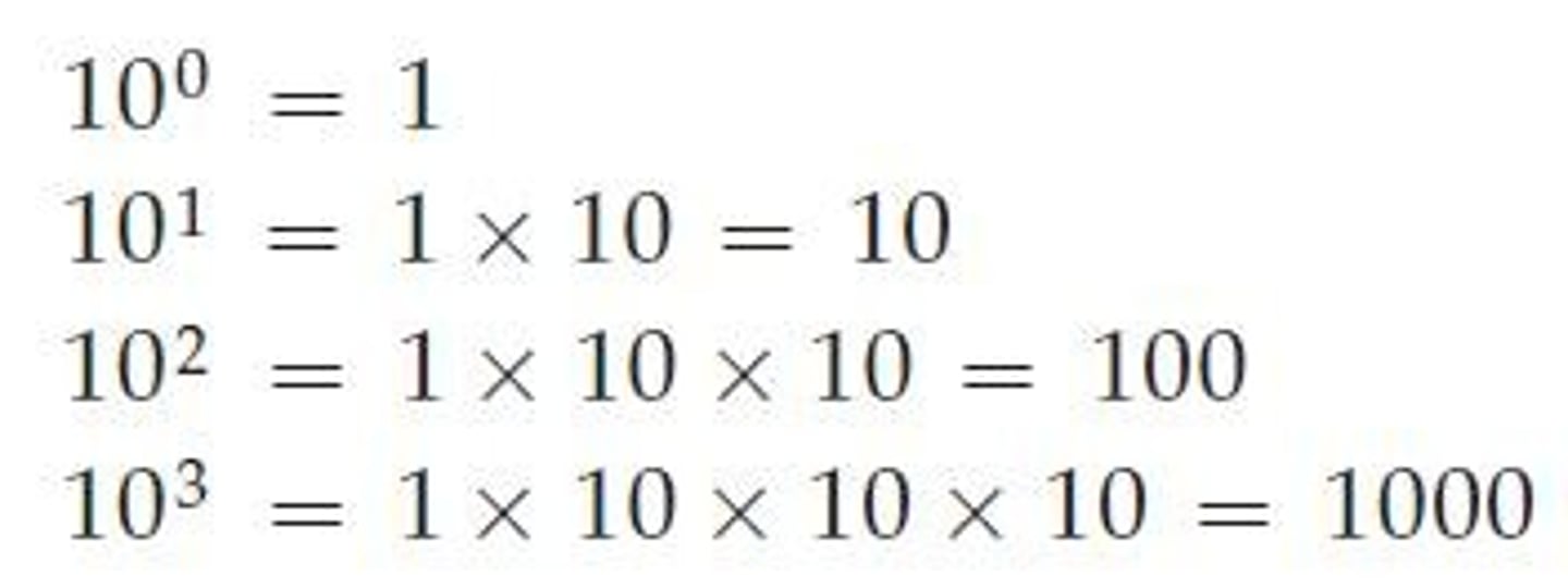 <p>Means 1 multiplied by 10 n times.</p>
