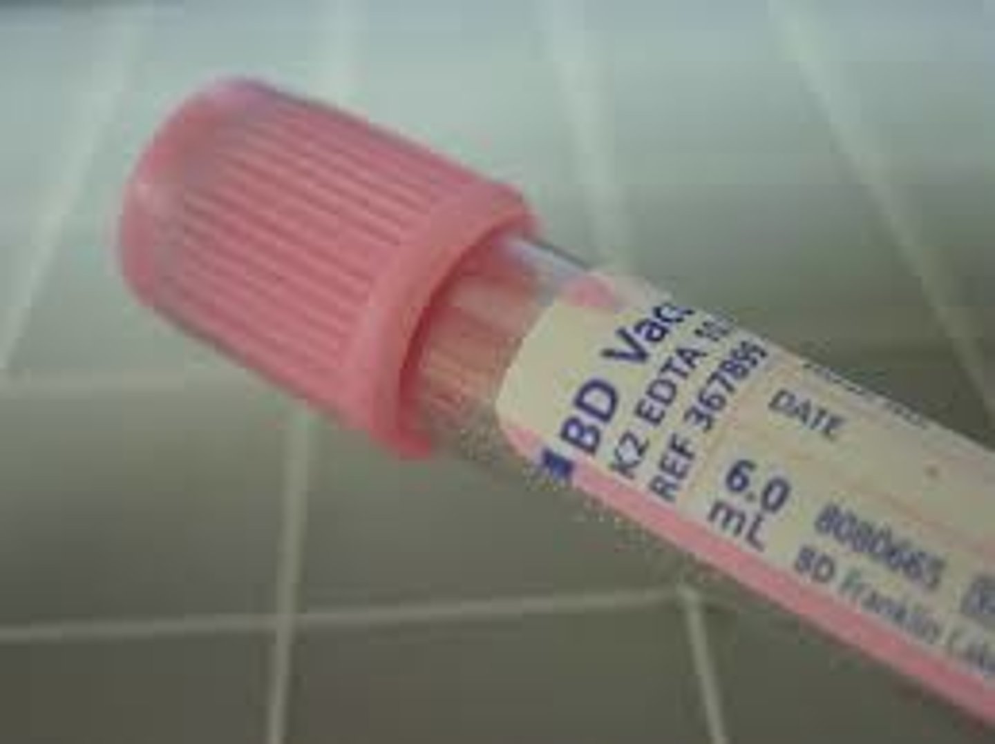 <p>K 2EDTA</p>