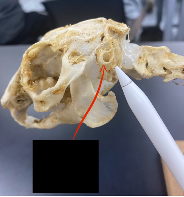 <p>What part is this</p>