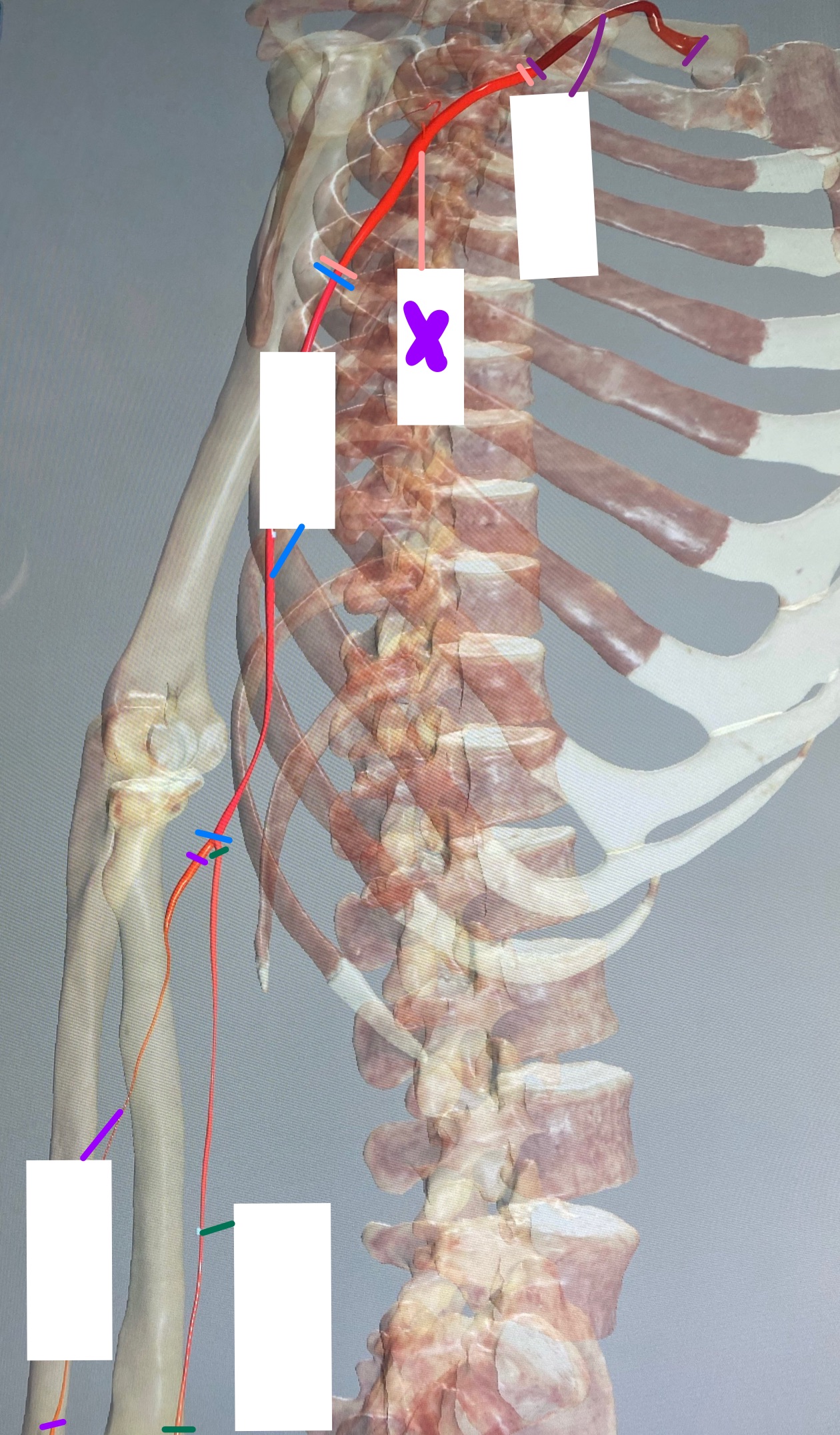 knowt flashcard image