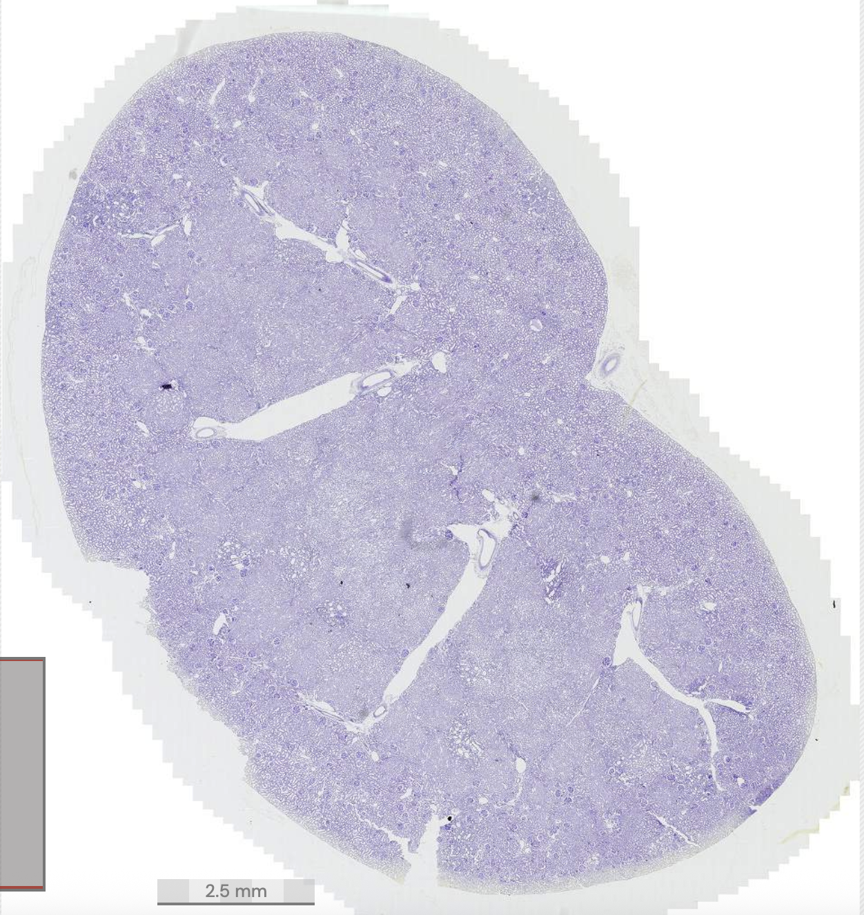 <p>What is this?</p>