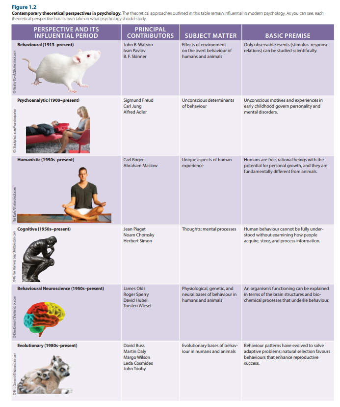 <ul><li><p>Psychodynamic</p></li><li><p>Behaviourism</p></li><li><p>Humanistic</p></li><li><p>Cognitive</p></li><li><p>Developmental</p></li><li><p>Social</p></li><li><p>Cultural</p></li><li><p>Evolutionary</p></li></ul>