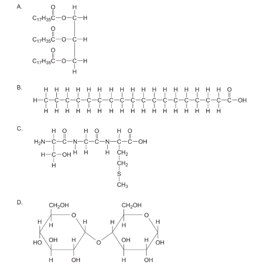 <p>Which molecule could be hydrolysed into amino acids?</p>