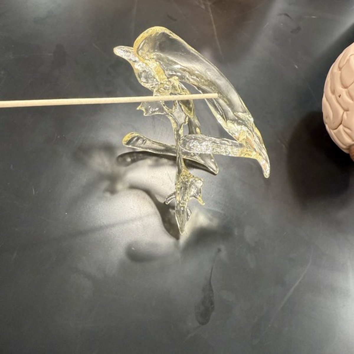 <p>What is this structure?</p>