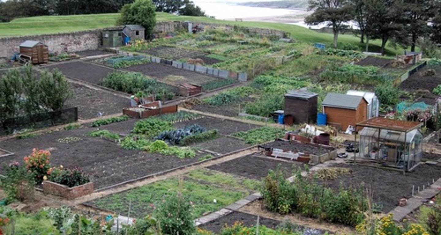 <p>Initiatives to bring fresh foods to urban areas. Small farms are created by and cared for by its residents.</p>