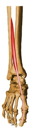 <p></p>