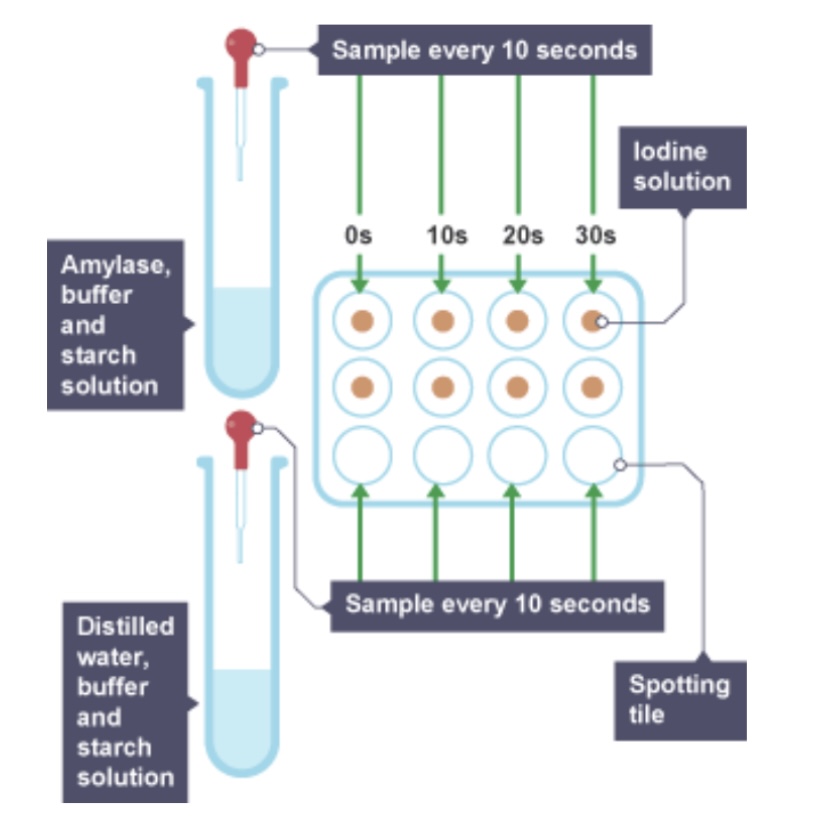 <p>What is being investigated?</p>