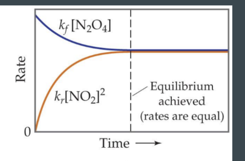 <p>Proceed at same rate (foward and reverse) </p>