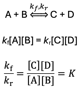 <p>rate of forwards and backwards reactions are equal </p>