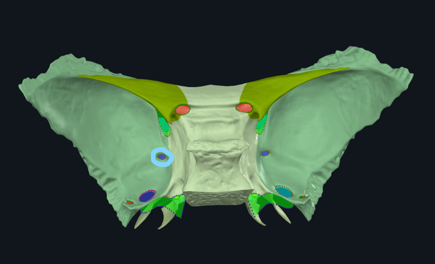 <p>What is circled </p>