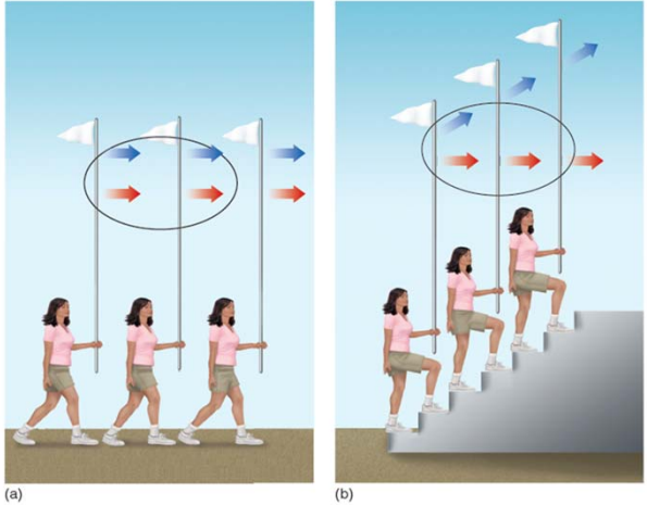 <p>Observation of a small portion of a larger stimulus leads to misleading information about direction of movement. This can result</p>