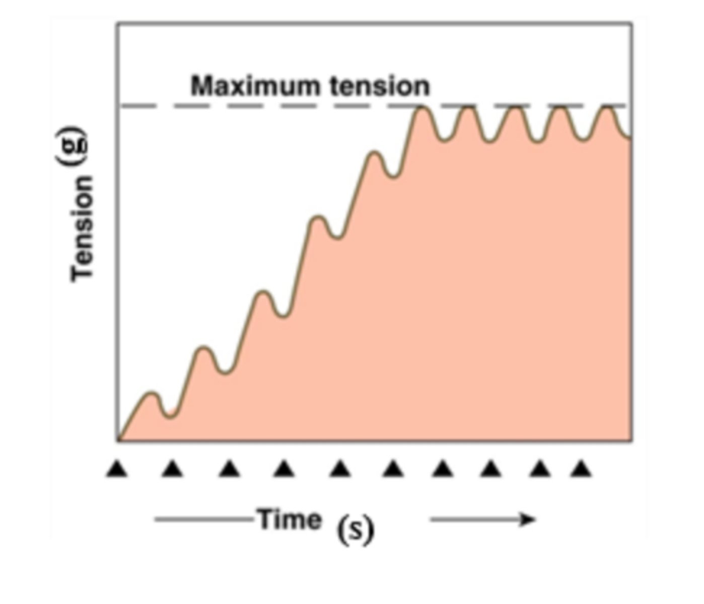 <p>twitch summation</p><p>unfused tetanus</p><p>3 multiple choice options</p>