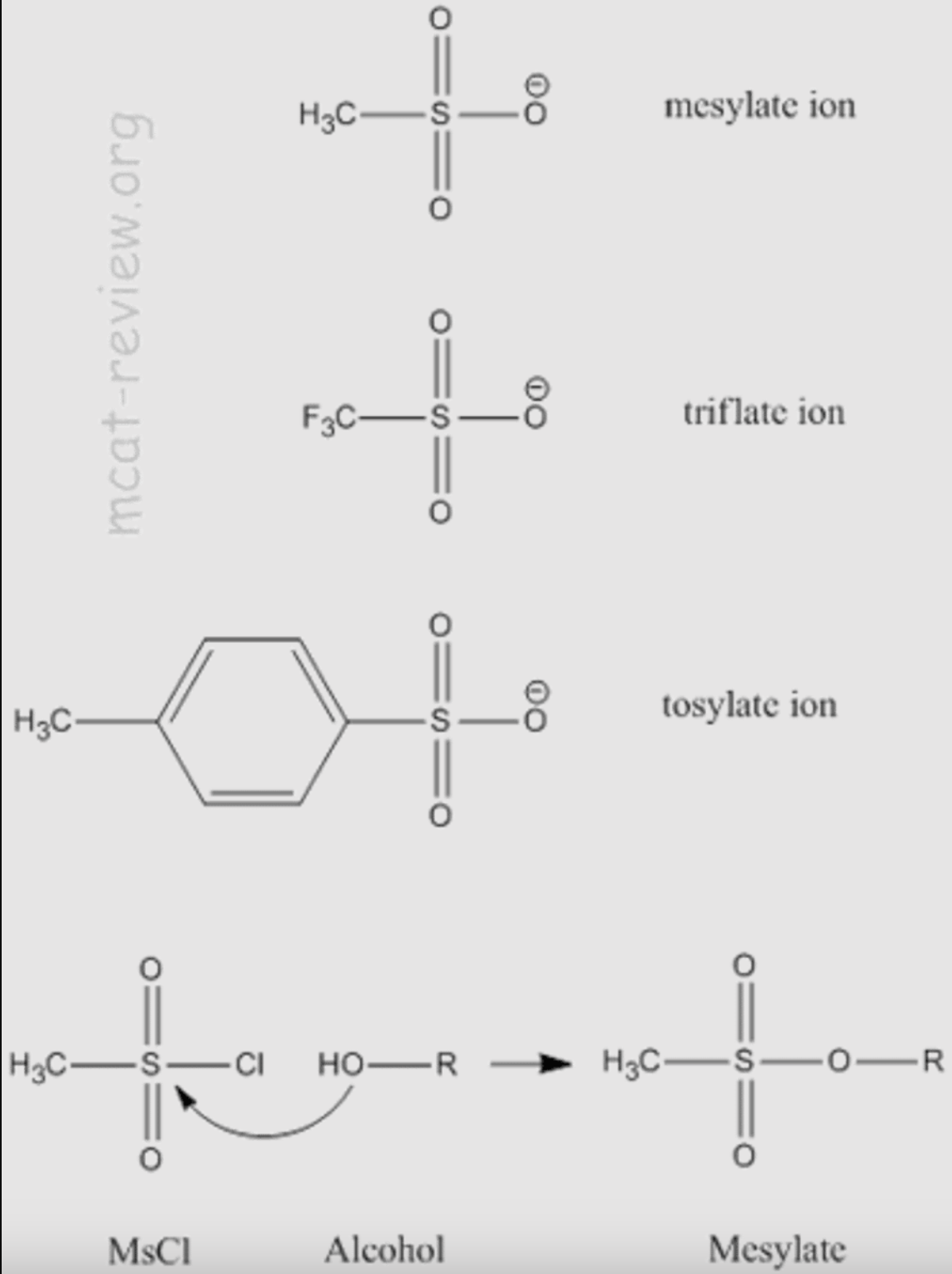 <p>mesylate and tosylates</p>