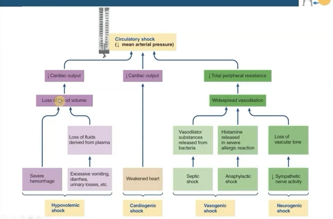 <p>Inadequacy of blood flow leading to deterioration of vital tissues and organ function</p><p><strong>MAP &lt; 60mmHg</strong></p>