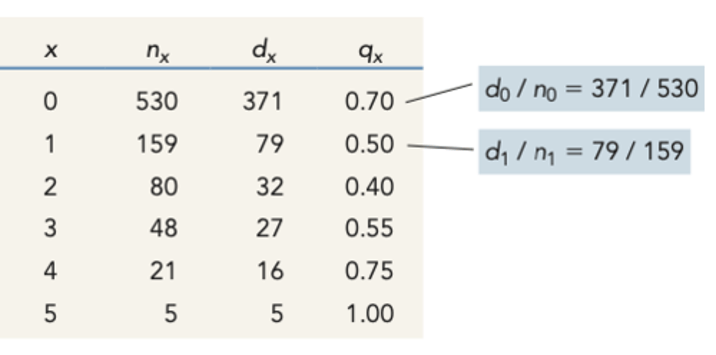 <p>age specific mortality rate</p><p>- number of individuals that died during any given interval (dx) divided by the number of alive individuals at the beginning of that interval (nx)</p><p>--------------</p><p>EQUATION</p><p>(dx/nx)</p>