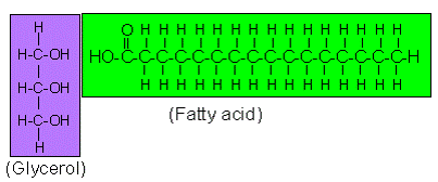 <p>Which macromolecule is represented below?</p>