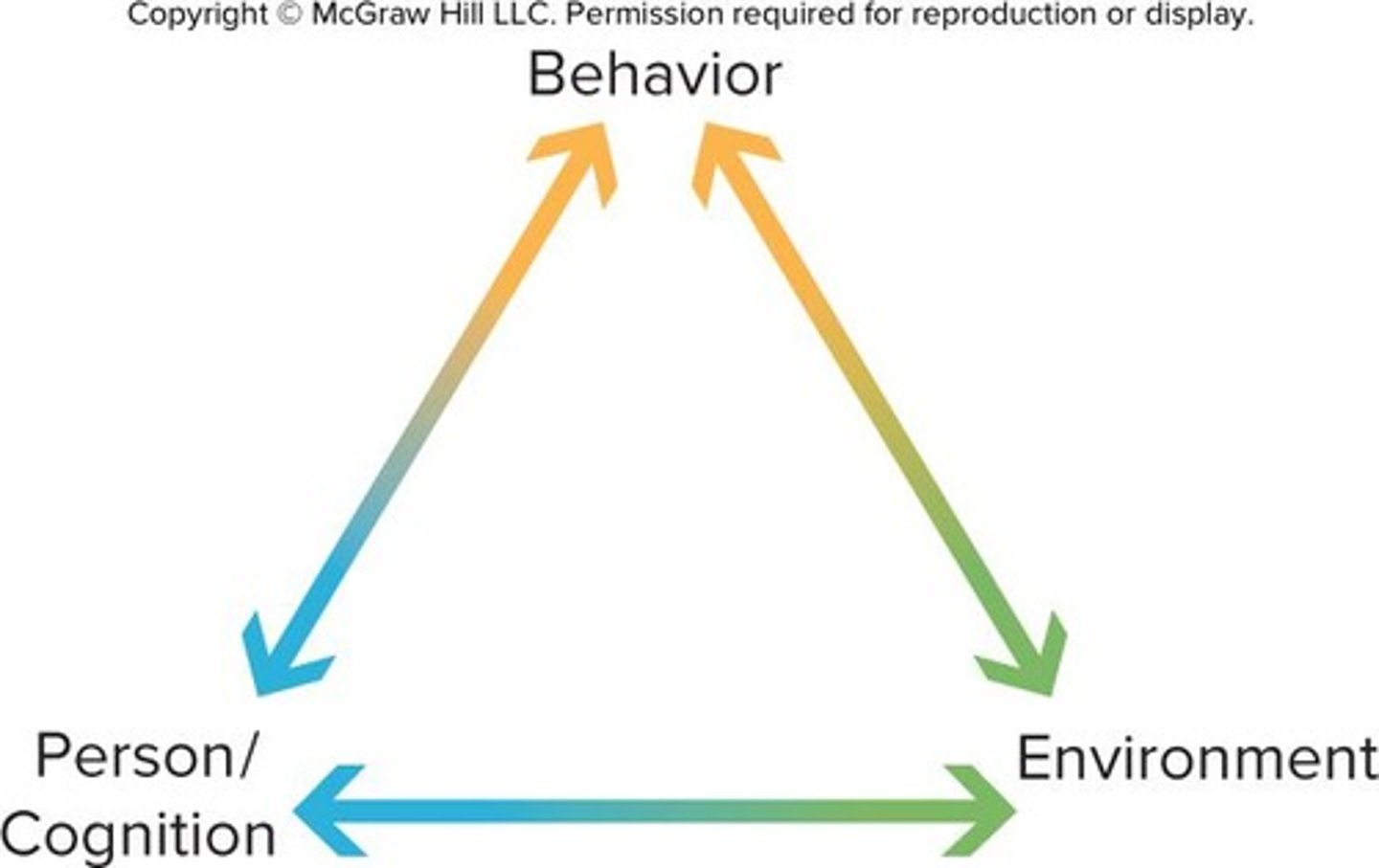 <p>Behavior, cognition, and environment interact in development.</p>