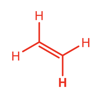 <p>Alkene</p>