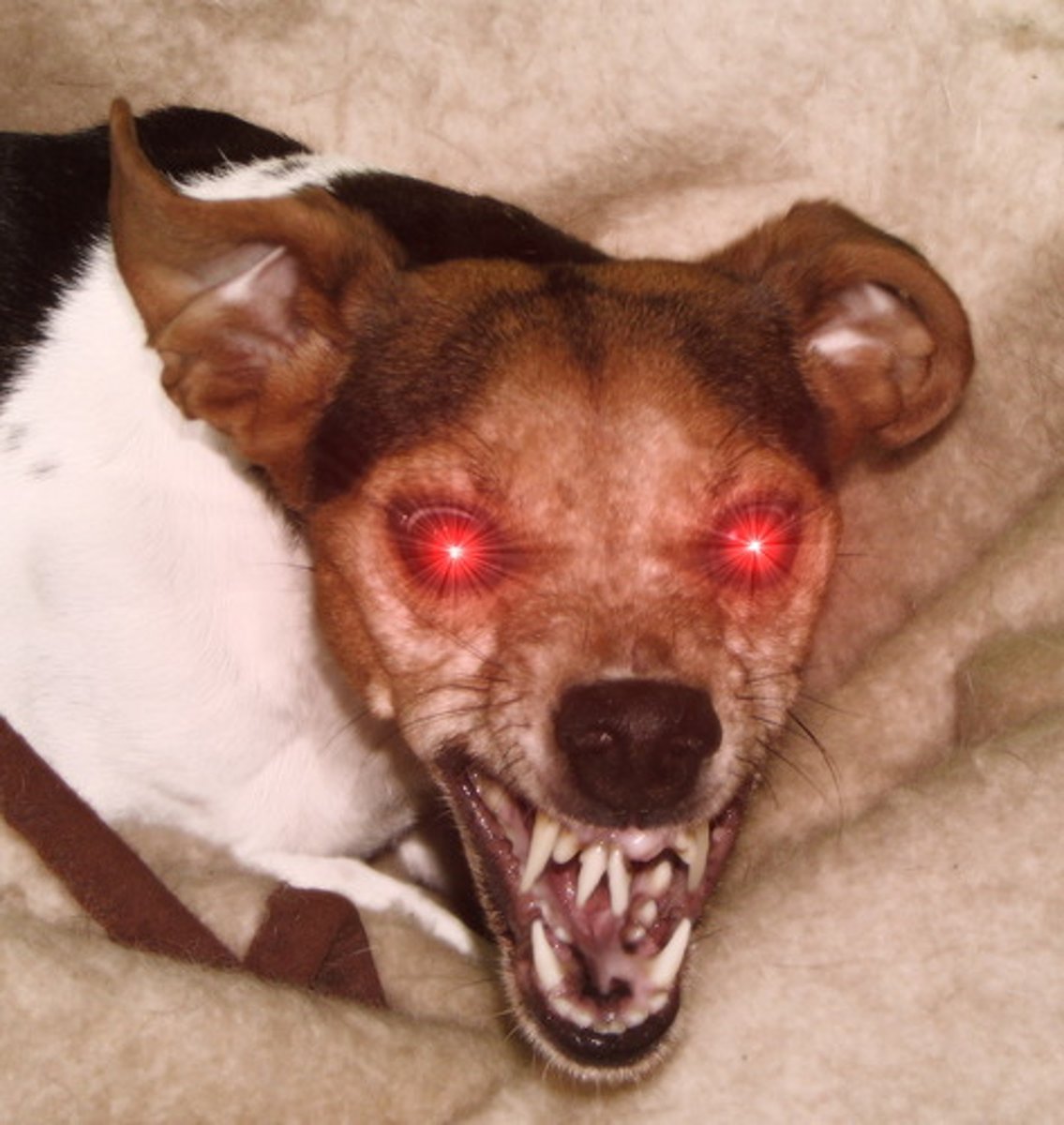 <p>angry</p>