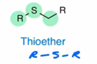 <p>sulfur directly bonded to carbon chains</p>