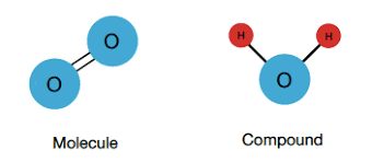 <p>A substance made up of two or more atoms of different elements.</p>