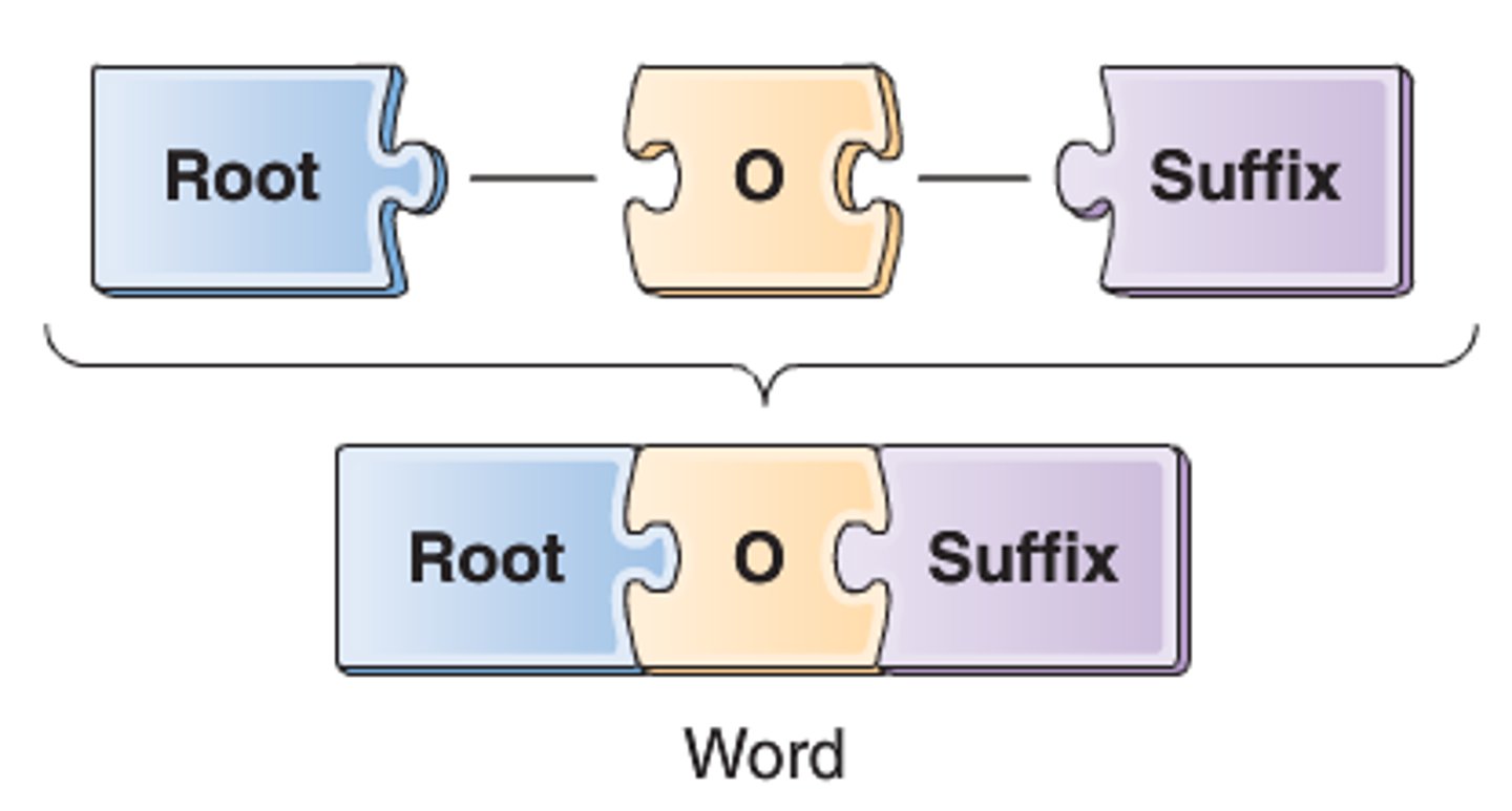 <p>A. combining vowel</p>